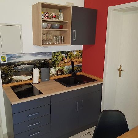 Zimmerappartement "Rose" - Ferienwohnungen Wagner & Gaul Daleiden Zewnętrze zdjęcie