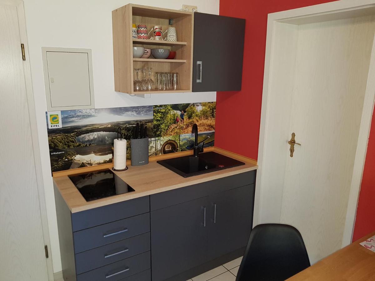 Zimmerappartement "Rose" - Ferienwohnungen Wagner & Gaul Daleiden Zewnętrze zdjęcie